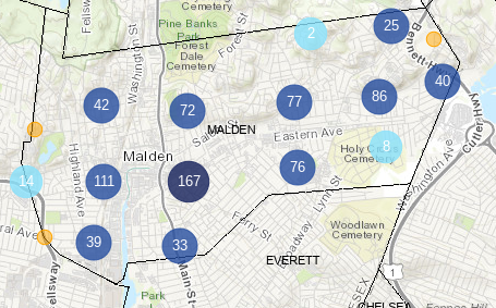 Malden Crash Report Review 2025